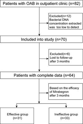 Unraveling the impact of Lactobacillus spp. and other urinary microorganisms on the efficacy of mirabegron in female patients with overactive bladder